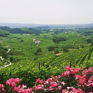 Strada del prosecco